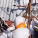 (주)재림환경 이미지