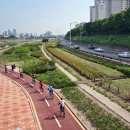 자전거체험학습장 이미지