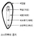 2013년도 제2회 임업종묘 기능사 필기 기출문제(4월14일) 이미지