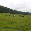 파란하늘목장 이미지