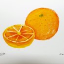 힐링취미 오일파스텔 드로잉 이미지