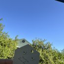 The house of gallery | 퍼스 스완밸리 필수 코스, 하우스 오브 허니(The House of Honey) 아이스크림과 꿀 시식 후기