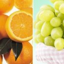 하이얀피부 이미지