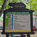 위천면사무소 | 거창 가볼만한 곳, 거창 수승대 출렁다리 이용 꿀팁 경남 계곡 물놀이 거북바위 거창국제연극제
