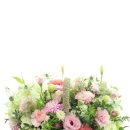 아이산산부인과의원 이미지