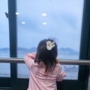 바다회집 | 서천 장항 코스로 나오는 기벌포 횟집