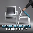 가성비 끝판왕 뷰티즈체어 에듀 체어, 이건 꼭 사야 해!