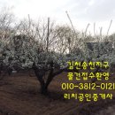 개발지구 이미지