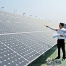 옥천태양광발전소 이미지