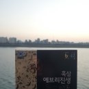 [금산덕원신삼약초영농조합법인] 금흑 흑삼에브리진생마일드 20포 제품 리뷰 ! 홍삼 추천, 연말선물 추천