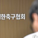 "10년간 한국 출전권 박탈하라”, "2002년 기록 삭제하라"… 전세계 난리! 英 매체 "FIFA 공식 제재도 가능" 이미지