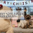 도그트리 | 남양주 애견카페 루프탑 도그라운지 내돈내산 재방문 후기