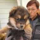 당북초등학교 이미지