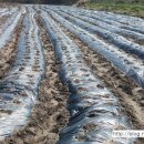 인건농장 이미지