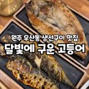 2577 | 원주:) 생선구이 러버 추천, 아이랑 가기 좋은 '달빛에 구운 고등어' 내돈내산 후기