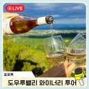 도우루밸리 와이너리 투어 한국어 오다가다 예약 후기