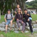 송내초등학교 이미지