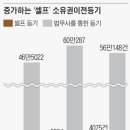 수수료 아끼려… 셀프 등기 늘었다 이미지