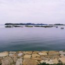 김선장낚시터 이미지