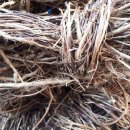 인동농장 이미지