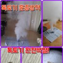 석적 인동 산동 옥계 장천톡토기방역 톡토기박멸 톡톡기방역 톡톡이방역 하얀벌레방역 작은벌레박멸 톡토기훈증방역 완전박멸 이미지