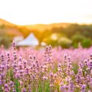 구세군강북종합사회복지관 이미지