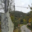 산속의친구 이미지