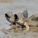 보성군청 이미지