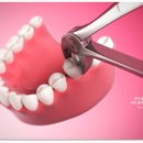 수원-1410 이미지