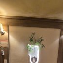 황금모텔 | 논산에서 하룻밤 머물기 딱 좋은 곳, 논산모텔 제이제이파크모텔 후기