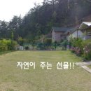 양평황토방원두막 이미지