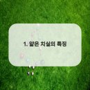 미소더예쁨치과의원 이미지