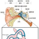 어지럼 [메니에르증후군] 이미지