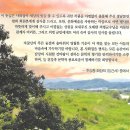 경남문인협회 사화집/ 의령의 얼, 그 붓을 높이 들어 이미지