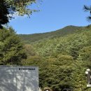 B11-2 | 2025년 12번째 캠핑 - 운 좋게 또 방문한 휘게포레스트, 이번에도 명상사이트 B11 후기