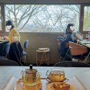 [‘25년 2월 2주차] 일산 피콕그린, 여의도 렌위치 &amp; 번패티번, 공덕 함루