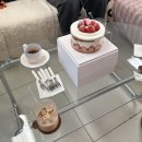 규범동물병원 | 회기역 딸기 케이크 맛집 메모아르 카페 후기(최애, 주차불가)