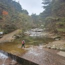 대구 팔공산(비로봉),돛대바위,청운대산행기 이미지