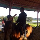 만경여자중학교 이미지