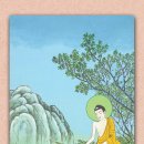 수자타 - 수성구 | 수자타