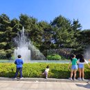 구름 한점 없는 맑은날, 서울 양재 &#39;예술의전당&#39;에 가서 산책하고 왔어요