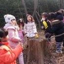 서광유치원 이미지