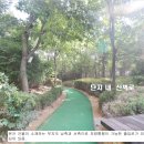 팰리스카운티 이미지