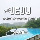 제주 에코랜드호텔 숙박 후기 숲속 힐링과 수영장까지 만족했던 제주 숙소 추천