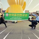 한국풍선연구소 이미지