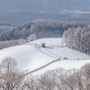 명재목장 이미지