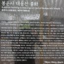 봉은사대웅전신중도 이미지