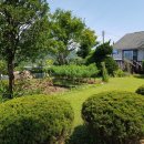 단월초교 병설유치원 이미지