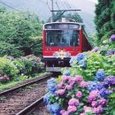 [초급] 일본어 이미지