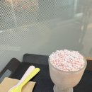 하삼동커피 계양구청점 - 떼구루 | 계양구청 대용량 구슬아이스크림 파는곳 가격 맛 사이즈 추천 등
